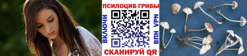 Псилоцибиновые грибы GOLDEN TEACHER  Кулебаки 